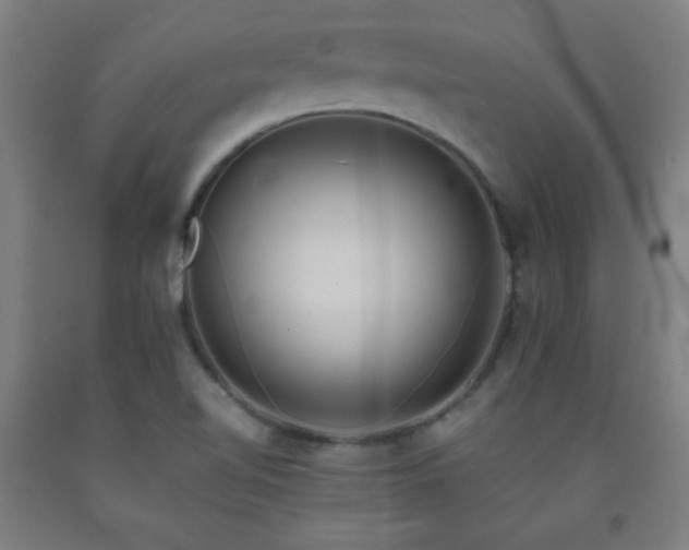 X0000093241510200709261657