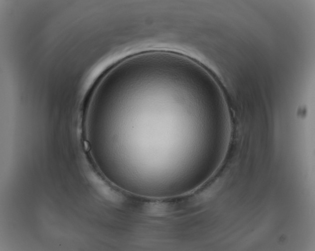 X0000093241511200709261657