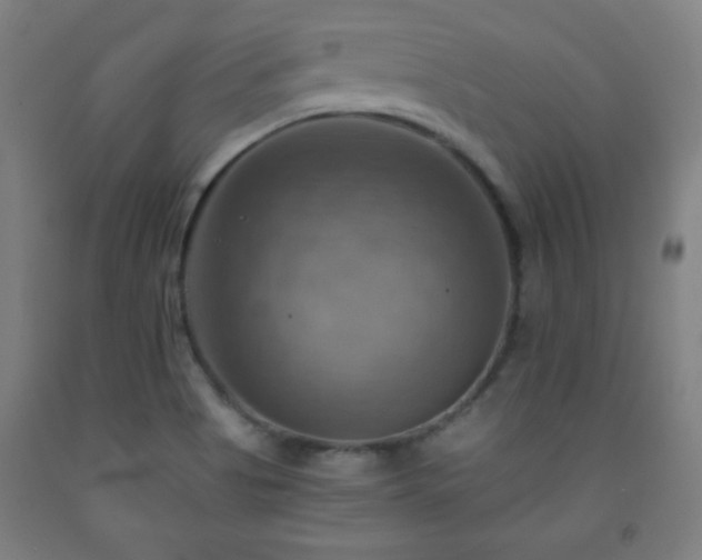 X0000093241513200709261657