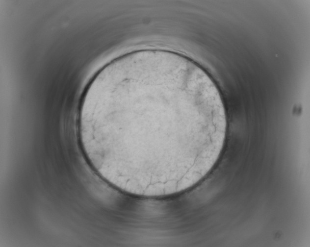 X0000093241514200709261657