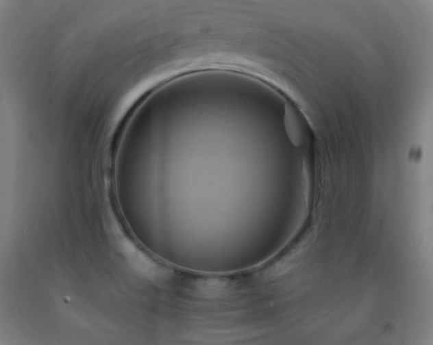 X0000093241515200709261657