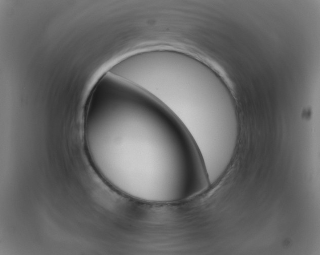 X0000093241516200709261658
