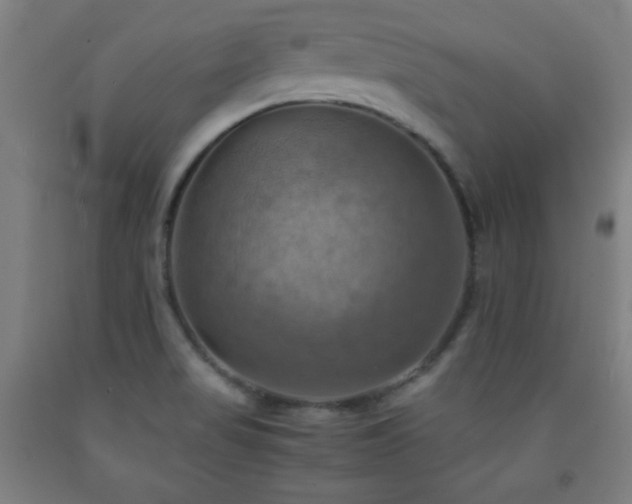 X0000093241517200709261658