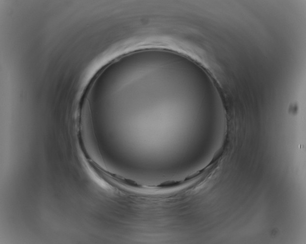 X0000093241519200709261658