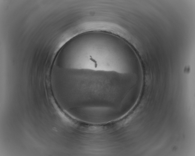 X0000093241521200709261658