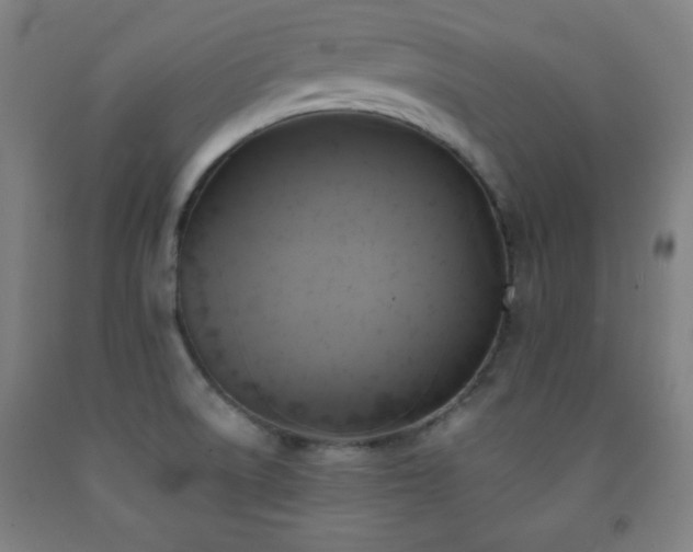 X0000093241522200709261658