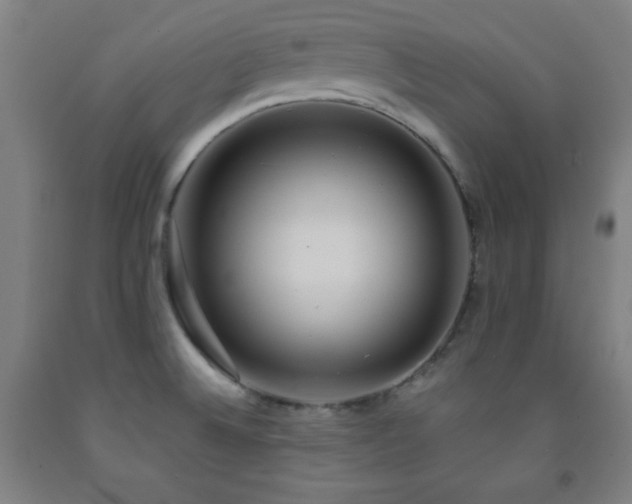 X0000093241524200709261658