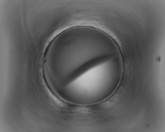 X0000093241525200709261658