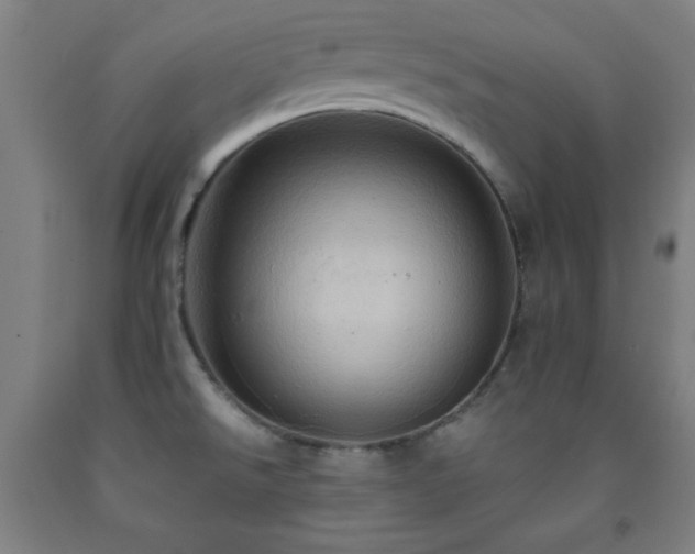 X0000093241526200709261658