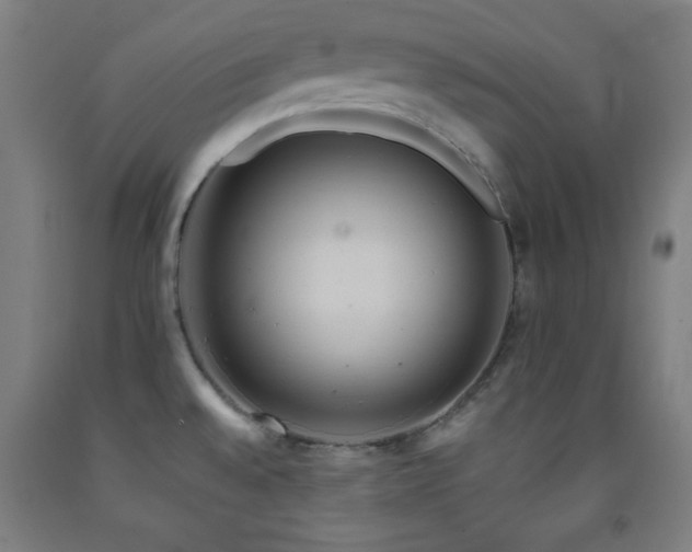 X0000093241528200709261658