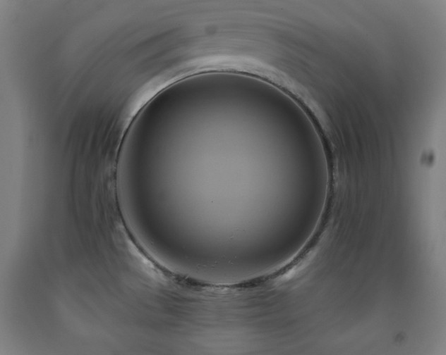 X0000093241529200709261658