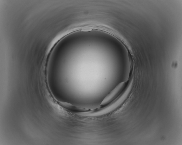 X0000093241530200709261658