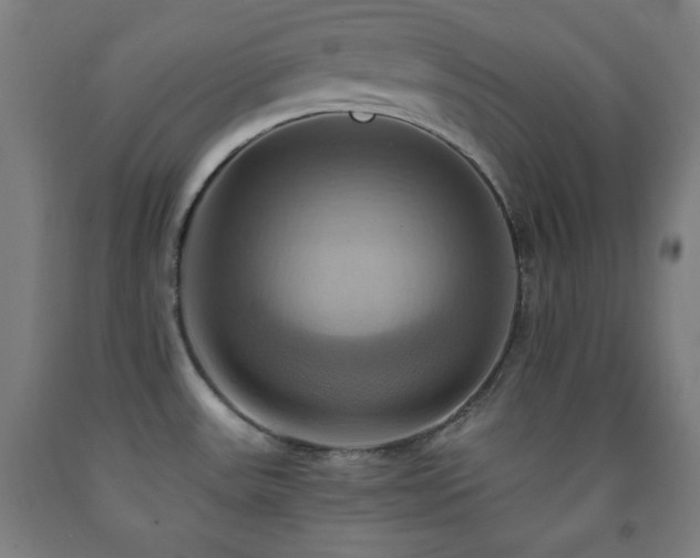 X0000093241531200709261658