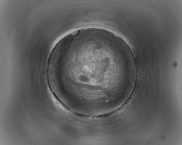 X0000093241534200709261658