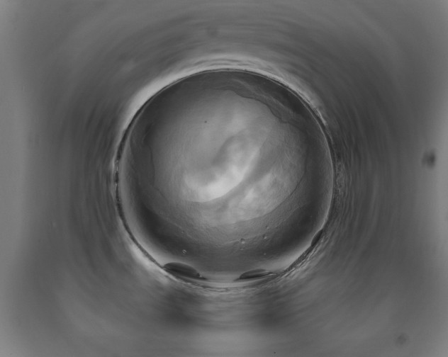 X0000093241535200709261658