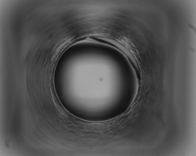 X0000093240001200710031611