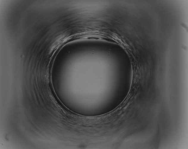 X0000093240002200710031611