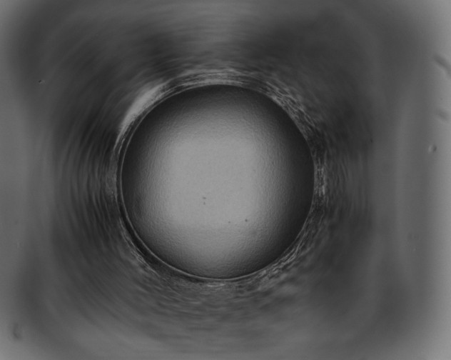 X0000093240004200710031611