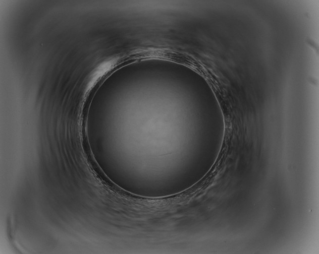 X0000093240006200710031611