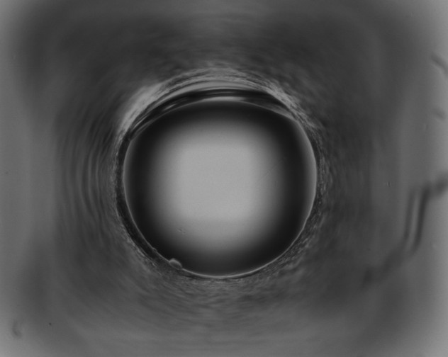 X0000093240007200710031611
