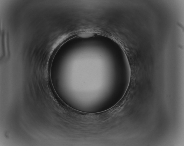 X0000093240008200710031611