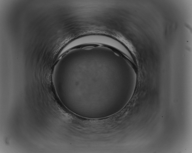 X0000093240009200710031611