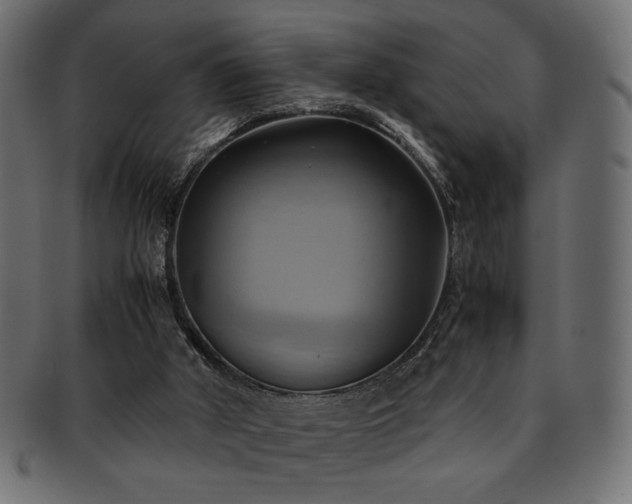 X0000093240010200710031611