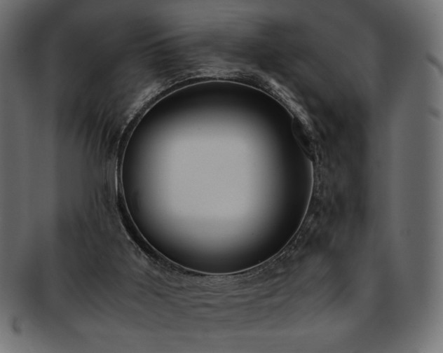 X0000093240011200710031611