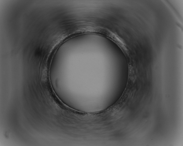 X0000093240012200710031611
