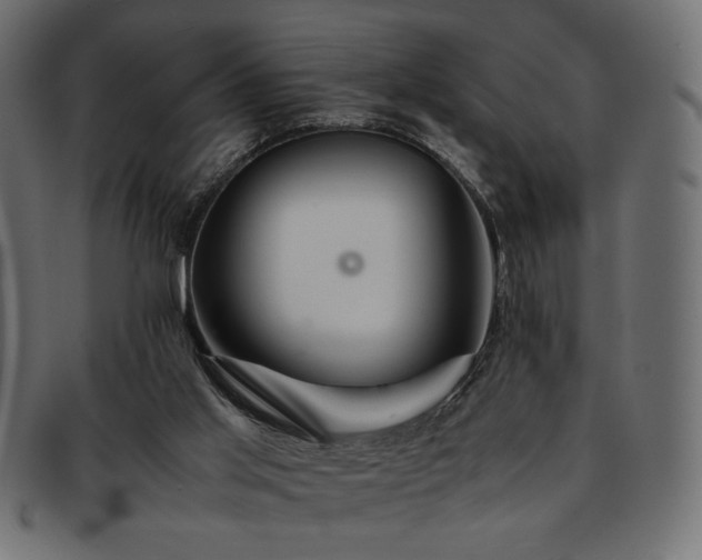 X0000093240013200710031611