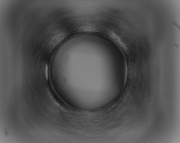 X0000093240014200710031611