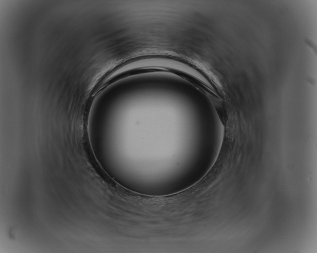 X0000093240015200710031611