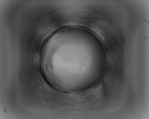 X0000093240016200710031611