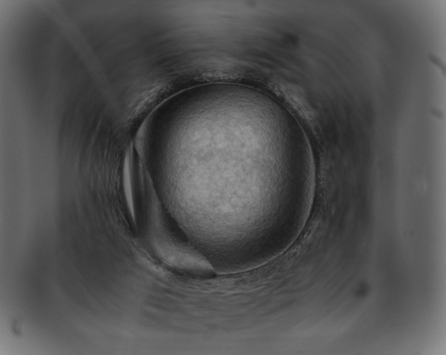 X0000093240017200710031611