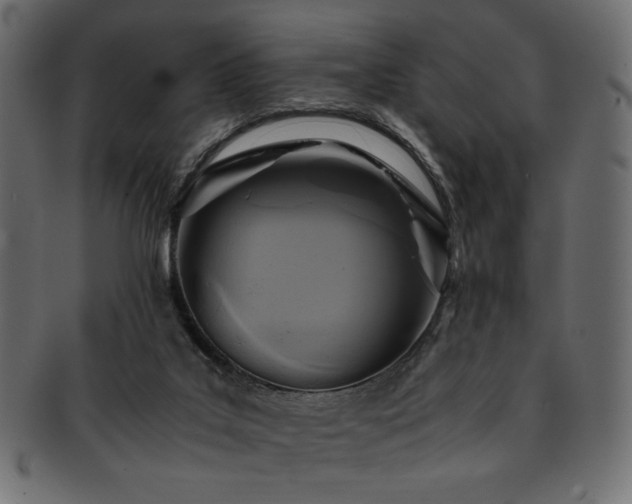 X0000093240019200710031611