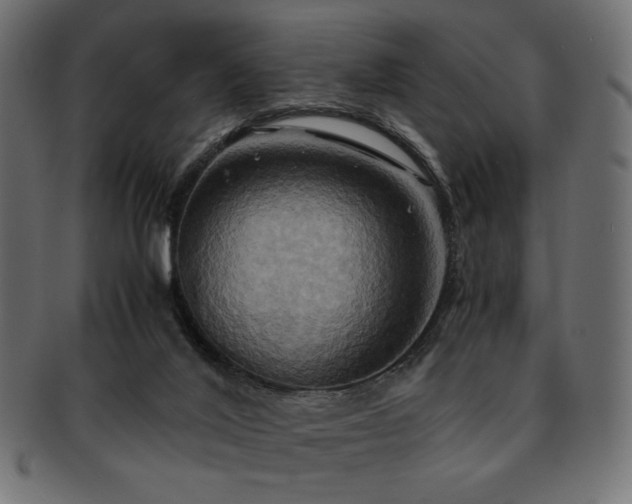 X0000093240020200710031611