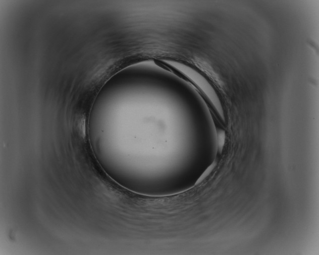 X0000093240021200710031611
