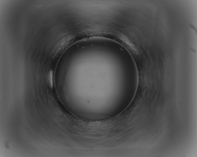 X0000093240022200710031611