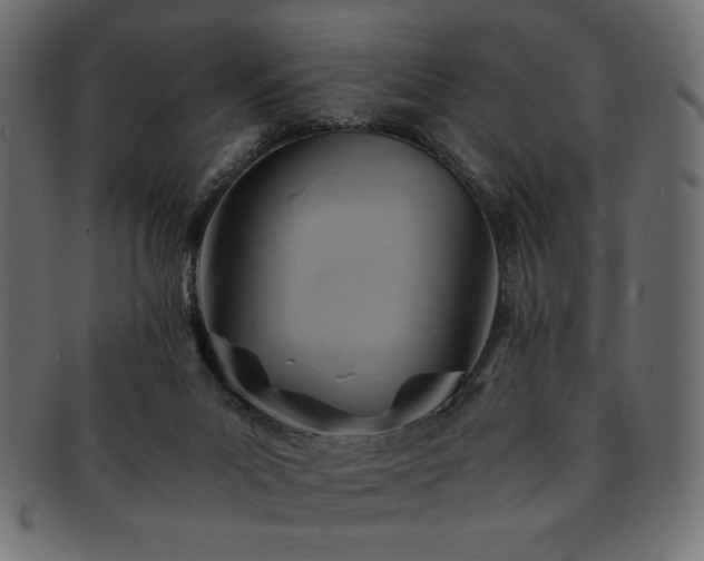 X0000093240023200710031611