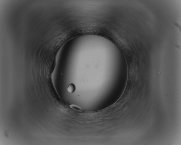 X0000093240025200710031611
