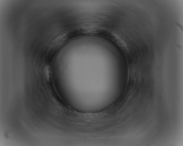 X0000093240026200710031611