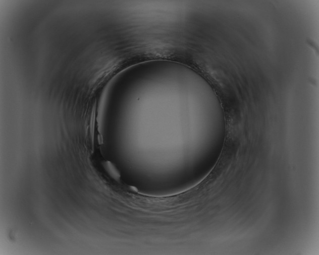 X0000093240027200710031611