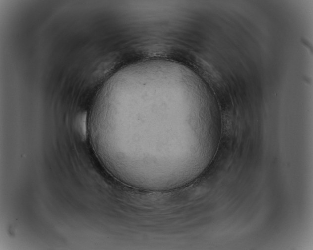 X0000093240028200710031611