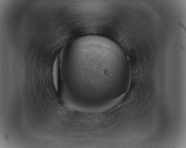 X0000093240029200710031611