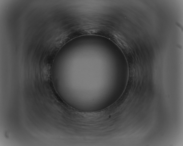 X0000093240030200710031611