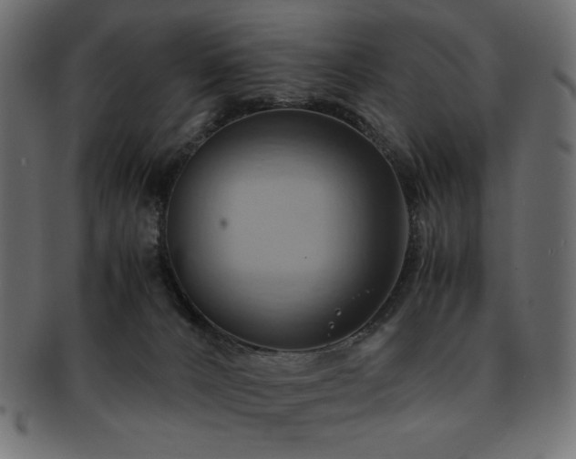 X0000093240032200710031611