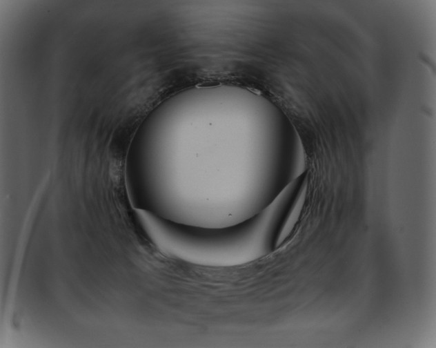 X0000093240033200710031611