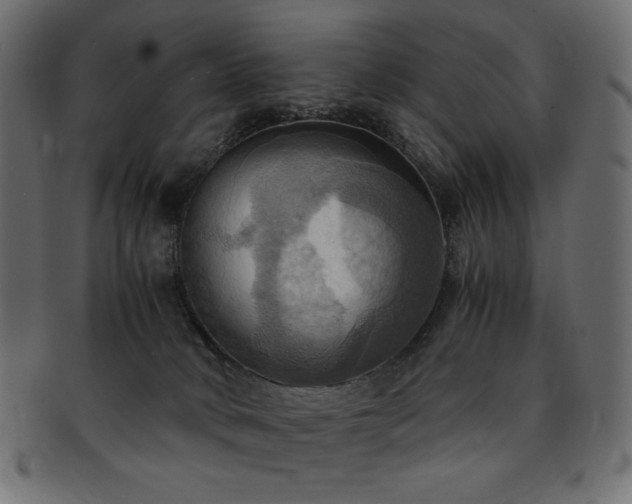 X0000093240034200710031611