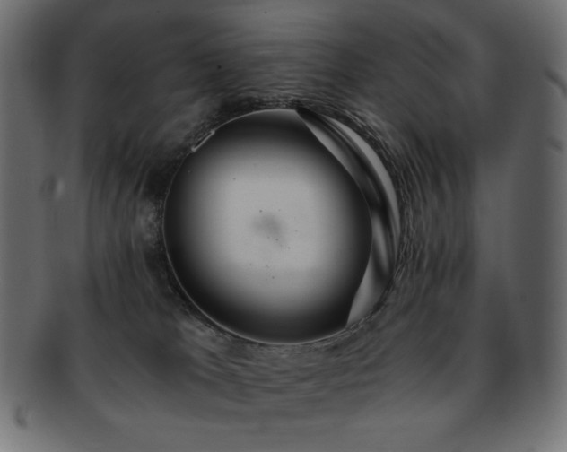 X0000093240037200710031611