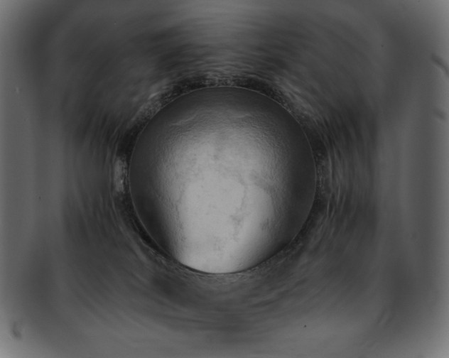 X0000093240038200710031611